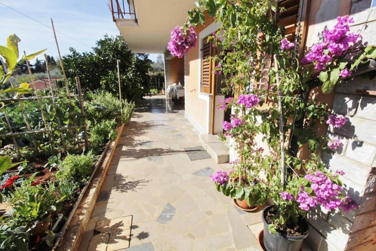 Apartments Marija סבודרייה מראה חיצוני תמונה