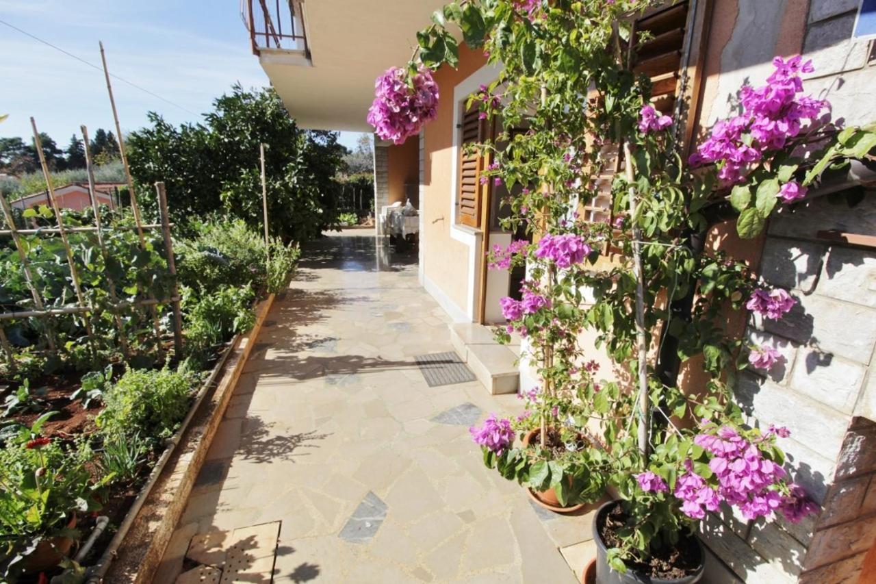 Apartments Marija סבודרייה מראה חיצוני תמונה